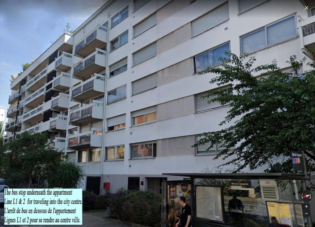 Apartamento Vue Degagee, Cuisine Moderne Et Wifi Estrasburgo Exterior foto