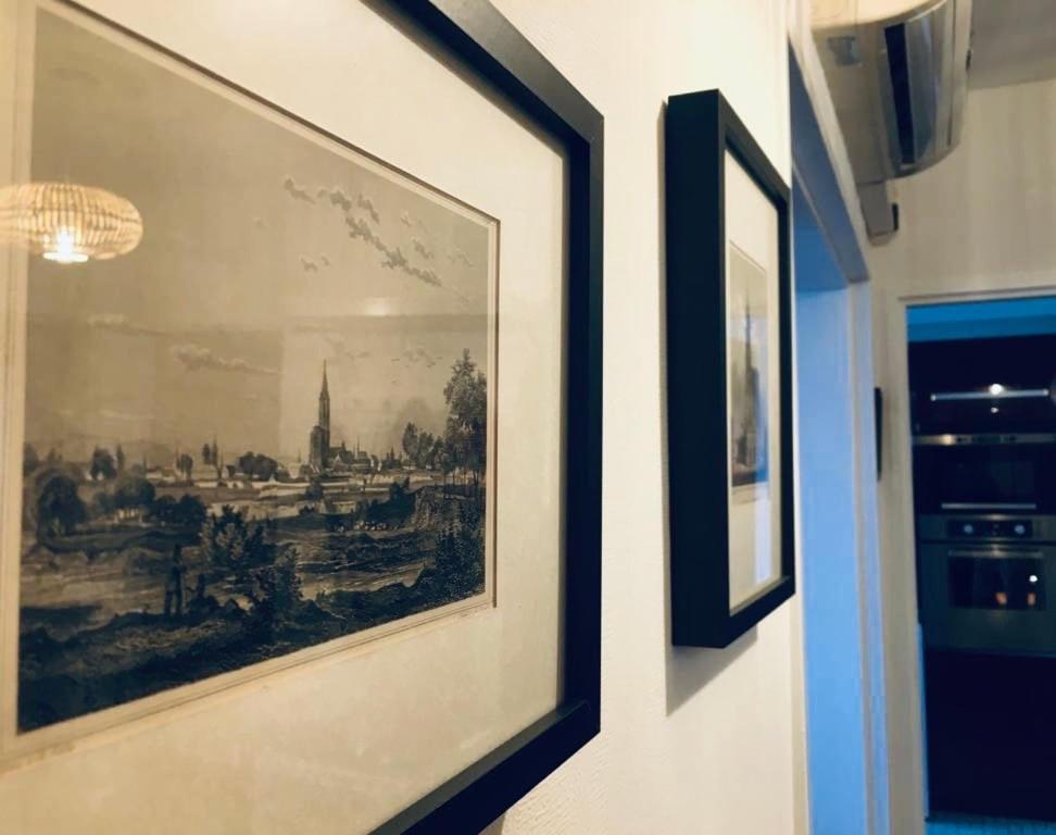 Apartamento Vue Degagee, Cuisine Moderne Et Wifi Estrasburgo Exterior foto